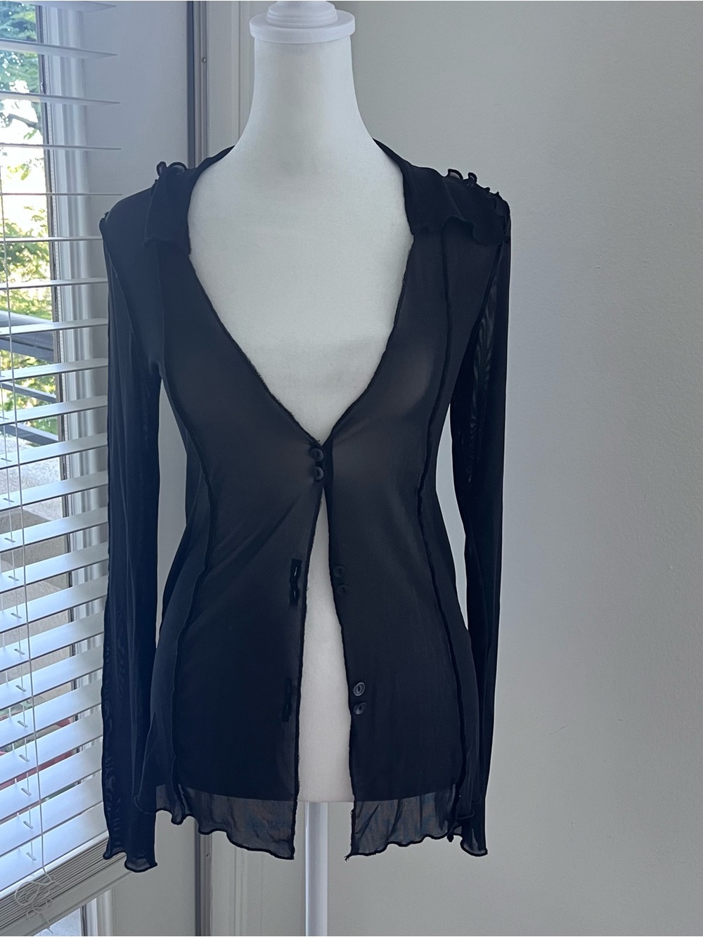 Urban Outfitters Sheer Black Button-Front Long Sleeve Top